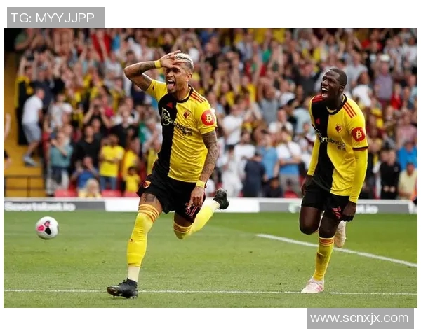 哈德斯与米尔沃尔对决前瞻分析及比赛结果预测