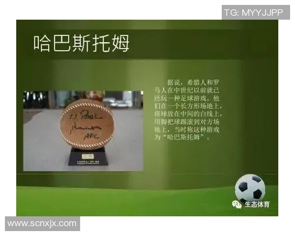 谢什科的传奇人生与足球事业的辉煌成就解析 谢什科的传奇人生与足球事业的辉煌成就解析