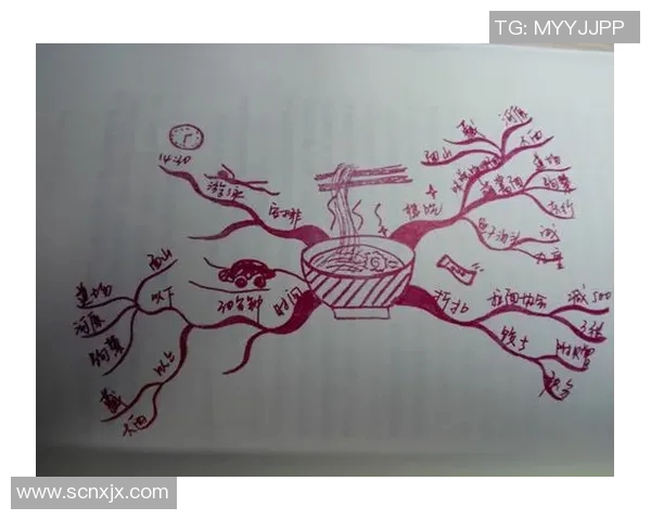 势不可挡的视频潮流如何改变我们的生活方式与思维方式