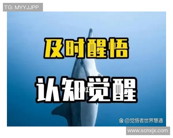 崔永熙：在时代变革中探索自我与社会的深刻联系与反思