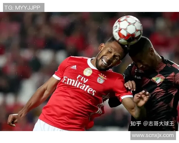 本菲卡主场迎战比兰恩斯期待全取三分争夺联赛冠军荣耀