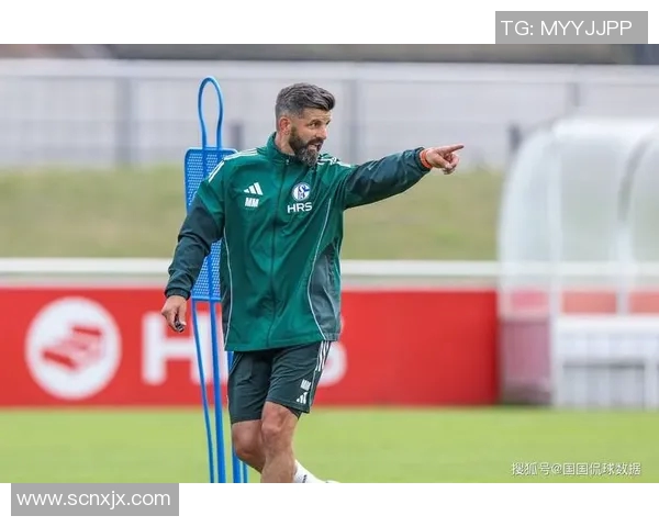 沙尔克与纽伦堡对决前瞻分析谁能在关键战役中占据上风