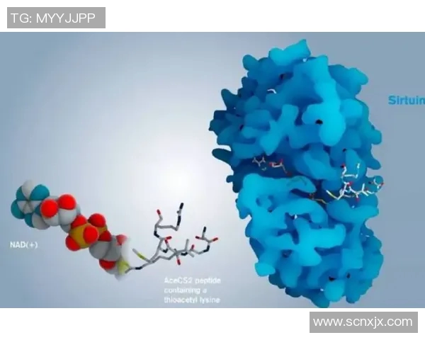 伊萨克的传奇人生与科学探索之路:从理论到实践的伟大跨越 伊萨克的传奇人生与科学探索之路:从理论到实践的伟大跨越