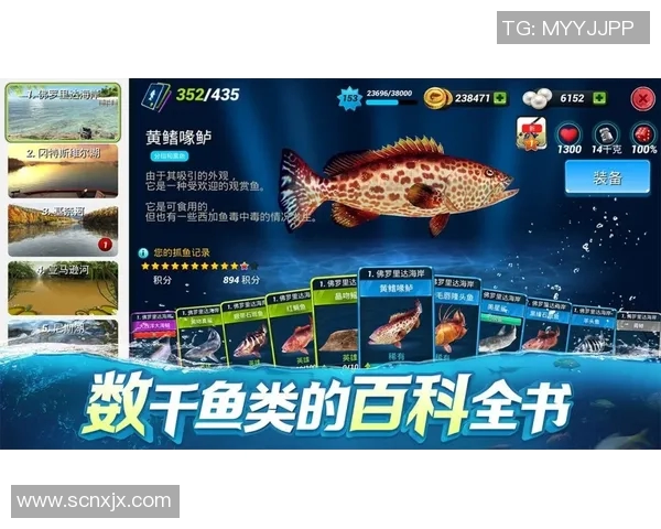 神户胜利船与名古屋鲸鱼的激烈对决展现足球魅力与团队精神