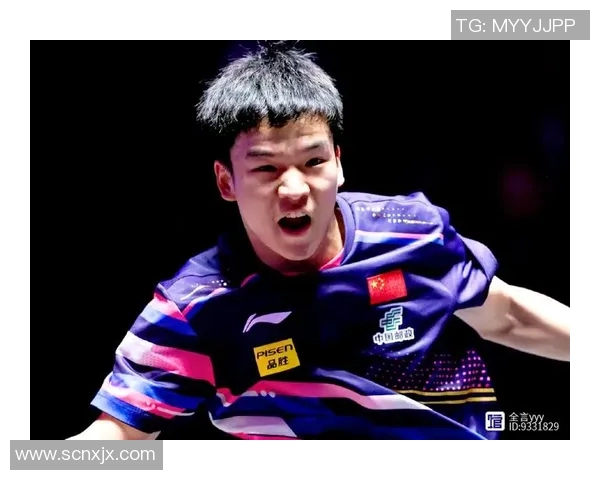 最新乒乓球团队协作排名揭晓北京乒乓球队稳居第一名